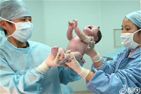供卵代怀生子代生生男孩